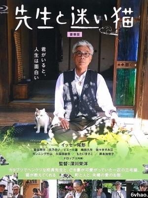 综艺